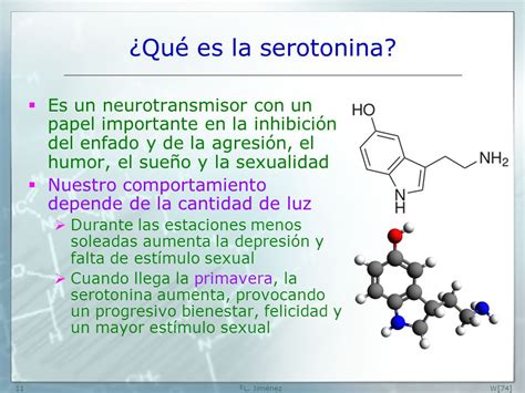 que es la serotonina